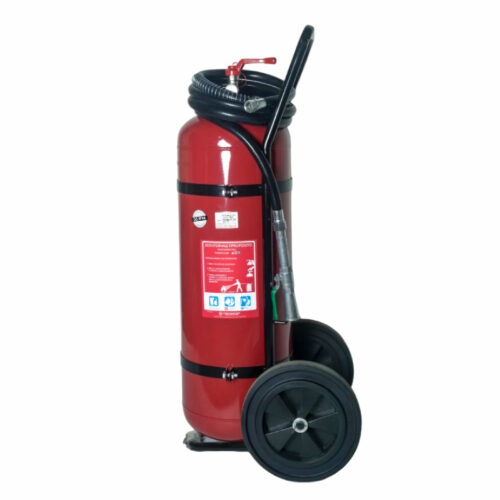 Dise_C3_B1o_20sin_20t_C3_ADtulo_20_2812_29_LE_upscale_gentle_x4_light_ai_30.jpg Carro Extintor PQS 100 Kilos