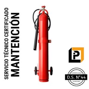 Mantención Extintor 10 Kilos CO2 (MC10) mantención extintor 10 kilos CO2